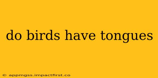 do birds have tongues