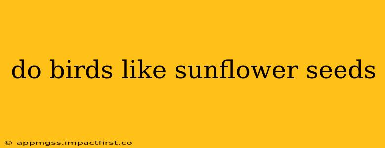 do birds like sunflower seeds