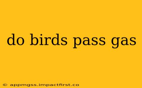 do birds pass gas