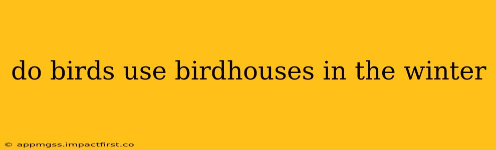 do birds use birdhouses in the winter
