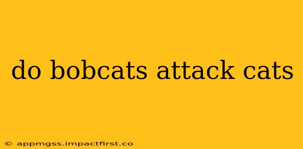 do bobcats attack cats