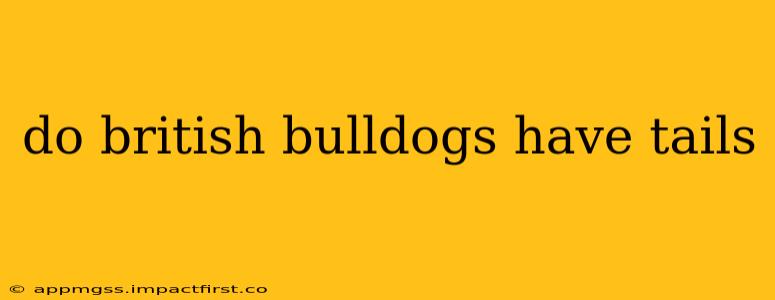 do british bulldogs have tails