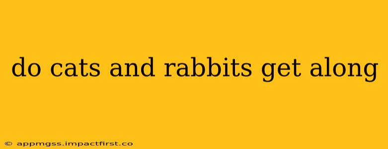 do cats and rabbits get along