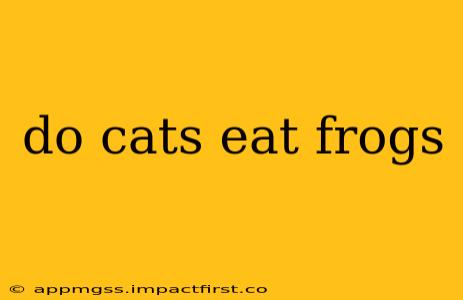 do cats eat frogs