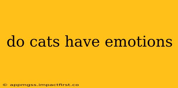 do cats have emotions