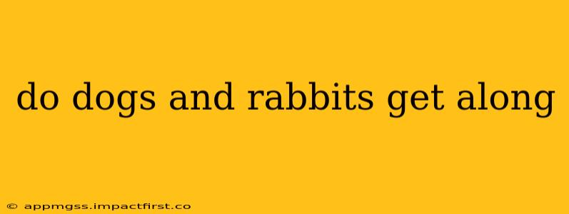 do dogs and rabbits get along
