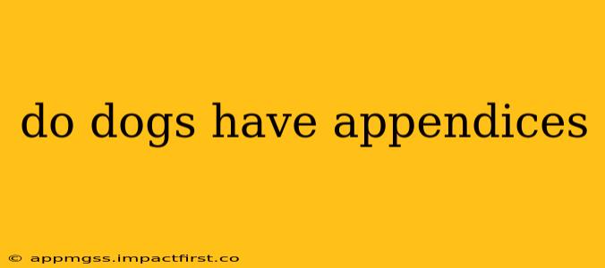 do dogs have appendices