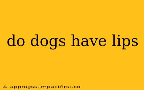 do dogs have lips