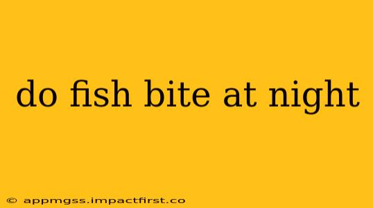 do fish bite at night