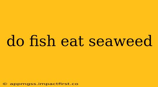 do fish eat seaweed