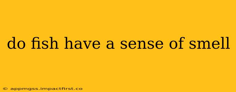 do fish have a sense of smell