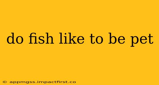 do fish like to be pet
