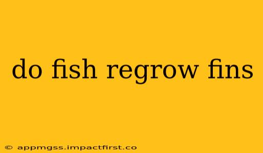 do fish regrow fins
