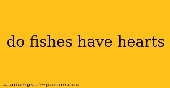 do fishes have hearts