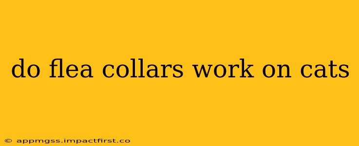 do flea collars work on cats