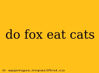 do fox eat cats