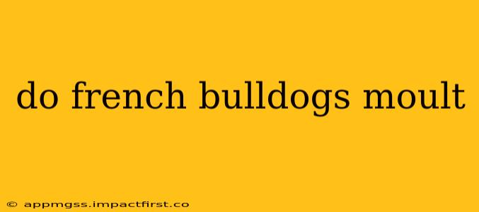 do french bulldogs moult