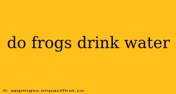 do frogs drink water