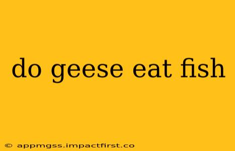 do geese eat fish
