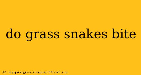do grass snakes bite