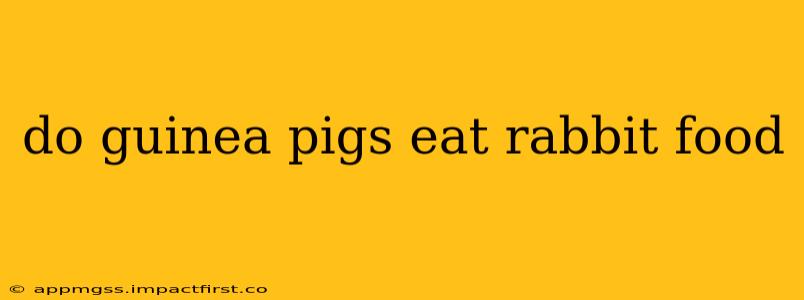 do guinea pigs eat rabbit food