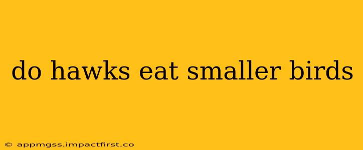 do hawks eat smaller birds