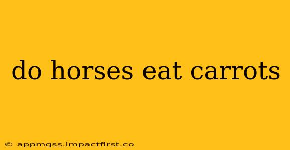 do horses eat carrots