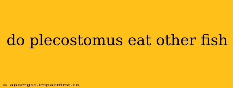 do plecostomus eat other fish