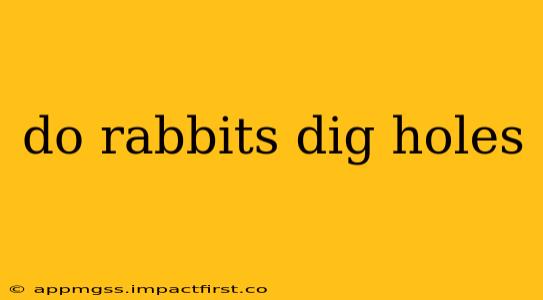 do rabbits dig holes