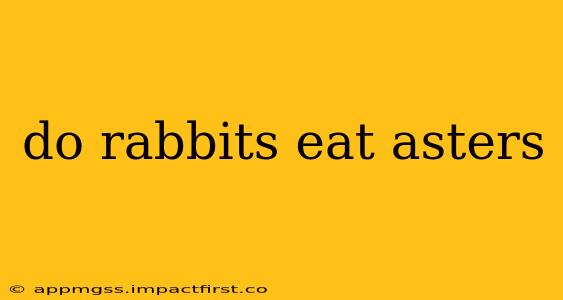 do rabbits eat asters