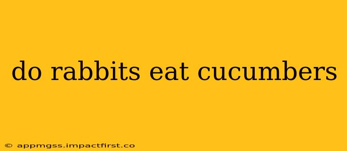 do rabbits eat cucumbers