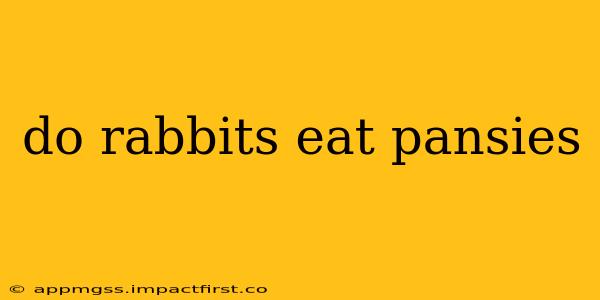do rabbits eat pansies