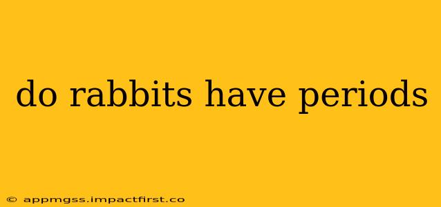 do rabbits have periods