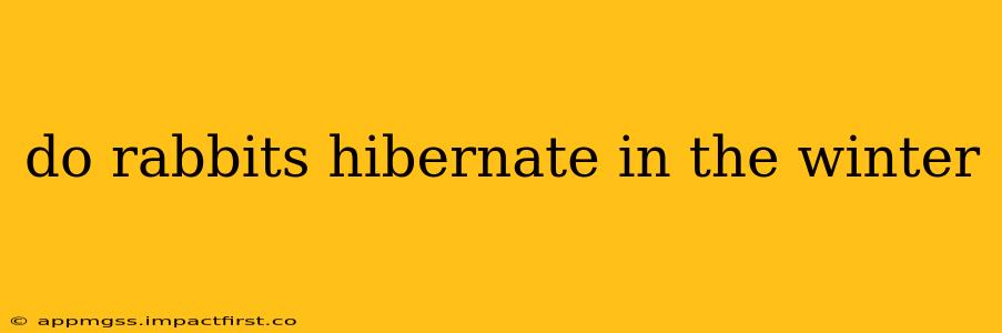 do rabbits hibernate in the winter