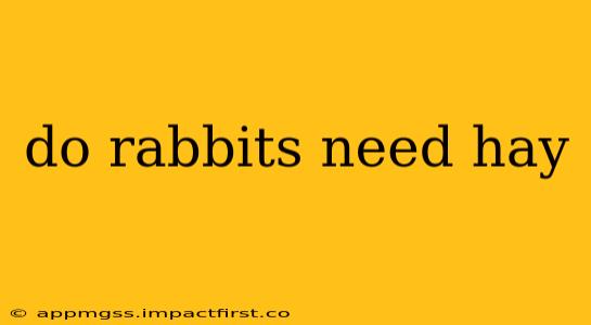 do rabbits need hay