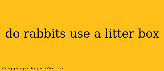 do rabbits use a litter box