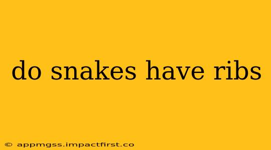 do snakes have ribs