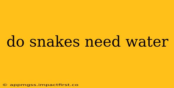 do snakes need water