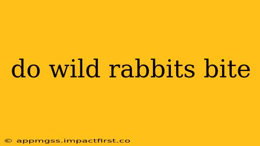 do wild rabbits bite
