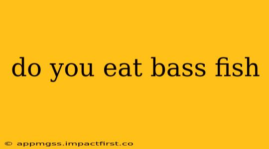 do you eat bass fish