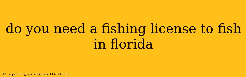 do you need a fishing license to fish in florida