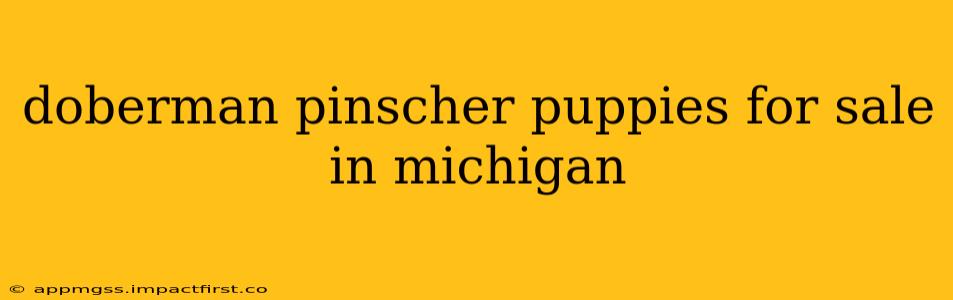 doberman pinscher puppies for sale in michigan