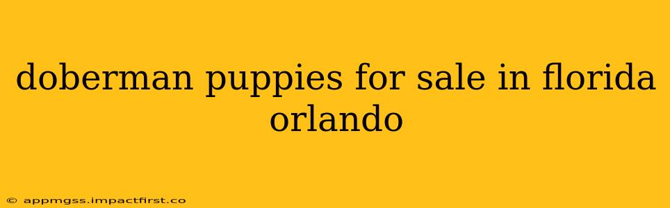 doberman puppies for sale in florida orlando
