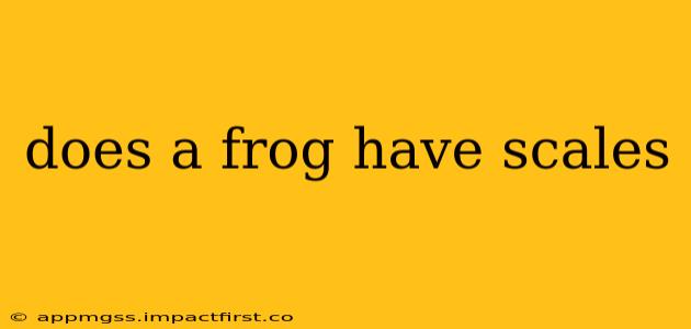 does a frog have scales