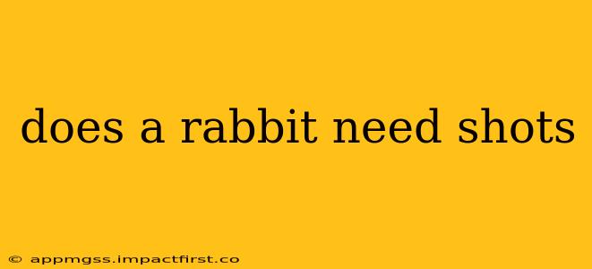 does a rabbit need shots