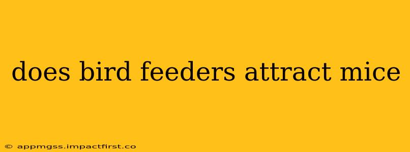 does bird feeders attract mice