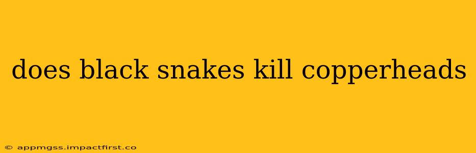 does black snakes kill copperheads