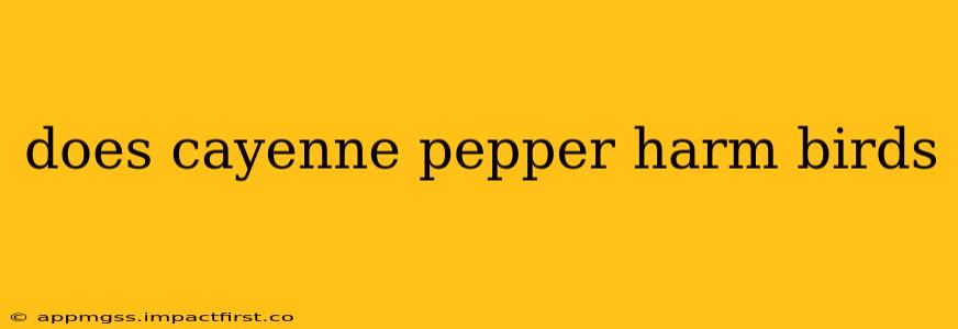 does cayenne pepper harm birds