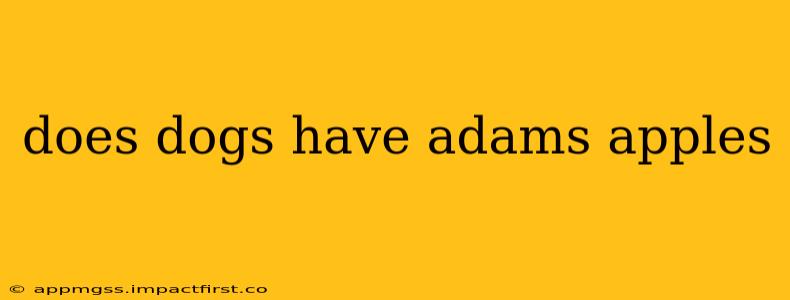 does dogs have adams apples