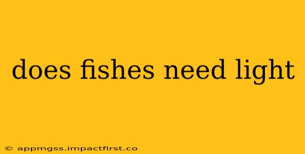 does fishes need light